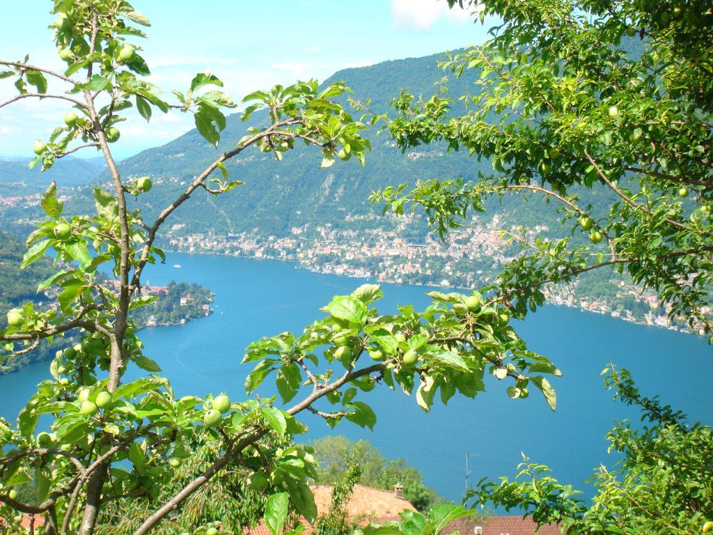 Bed & Breakfast Casa Filomena Faggeto Lario