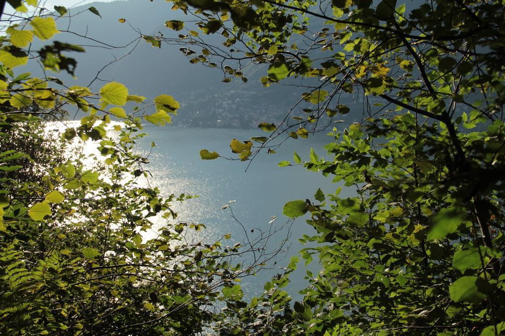 Bed & Breakfast Casa Filomena Faggeto Lario