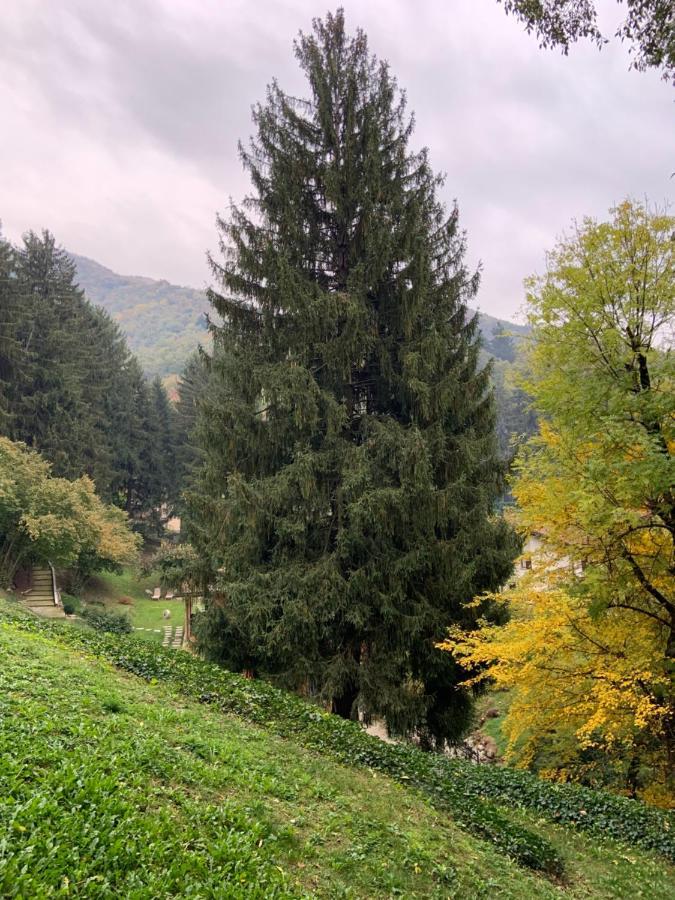Il Mulino Di Valeria