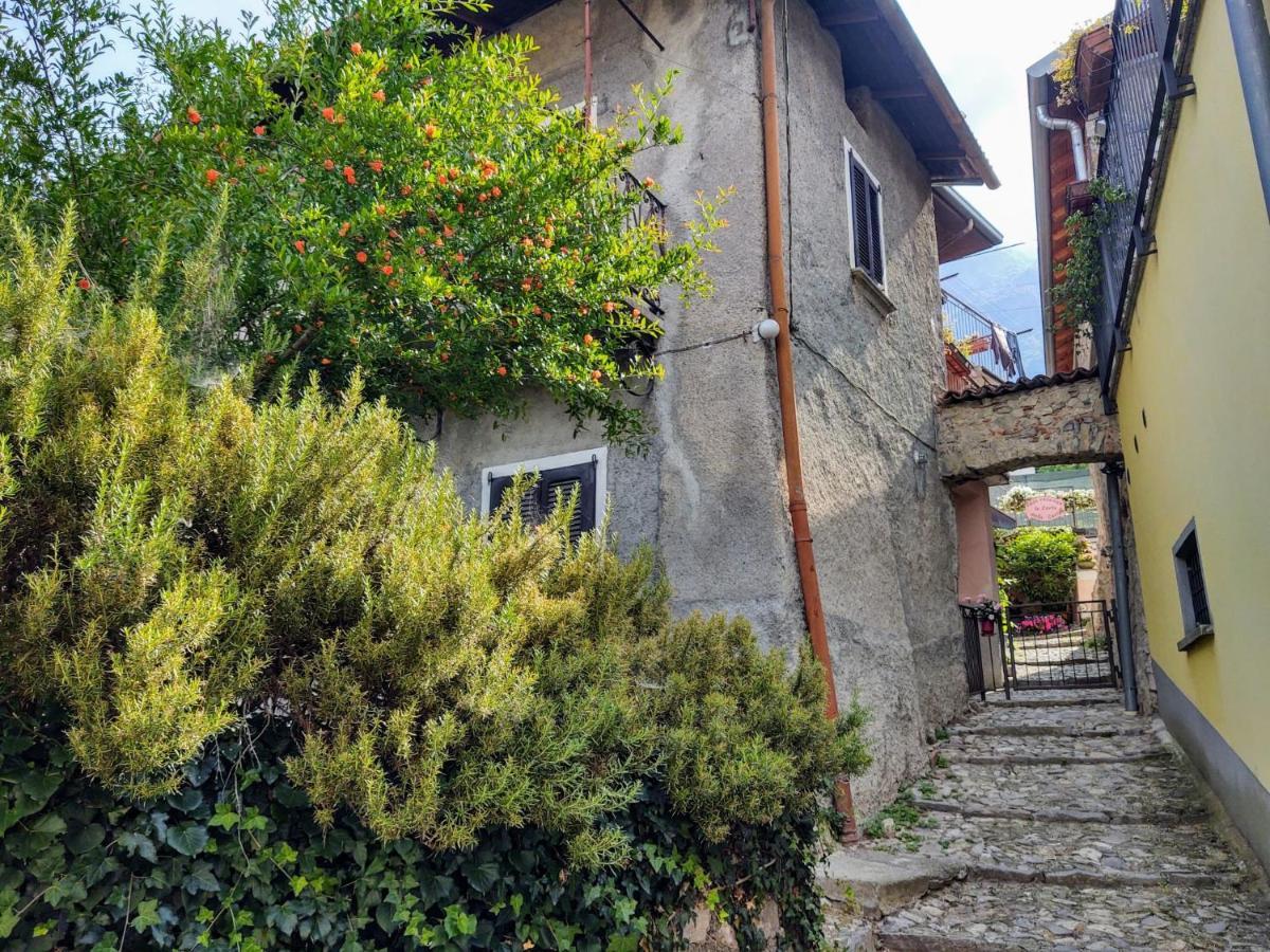Corte Della Carla - Lie200 By Interhome Apartment Lierna