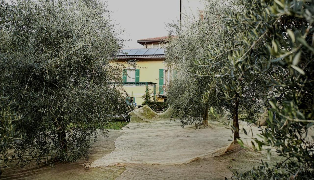 Conca Sandra - Farm On Perledo
