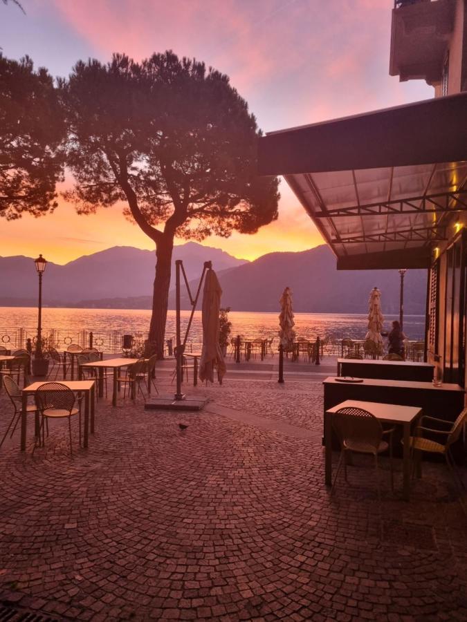 Apartment Domus Alba *