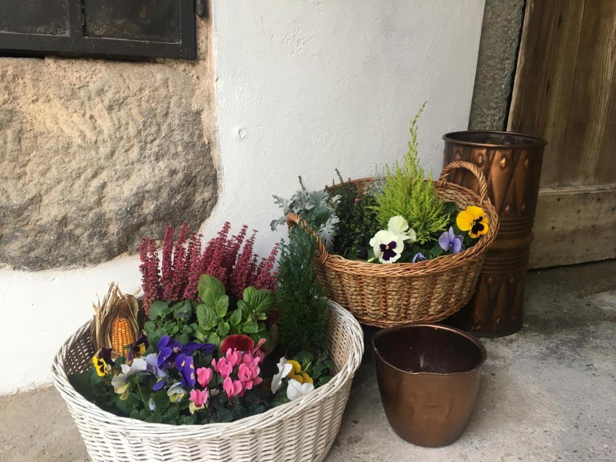 La Corte Del Segrino Canzo