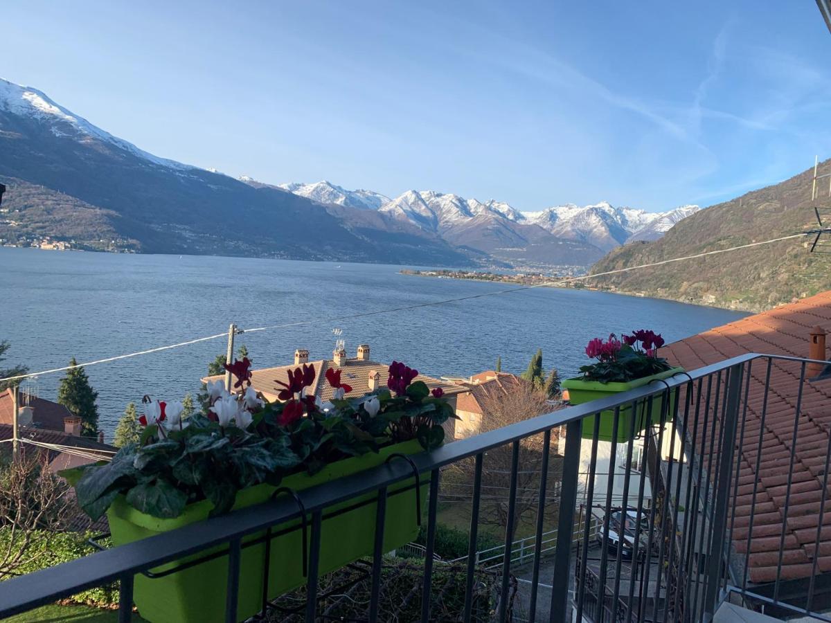 Apartment Holidays - Casa Artemio Bellano