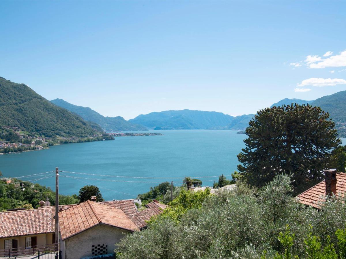 Locazione Turistica La Coccinella - Olg170 *