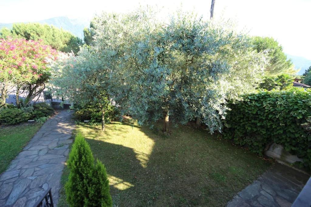 Apartment Lidia, Colico