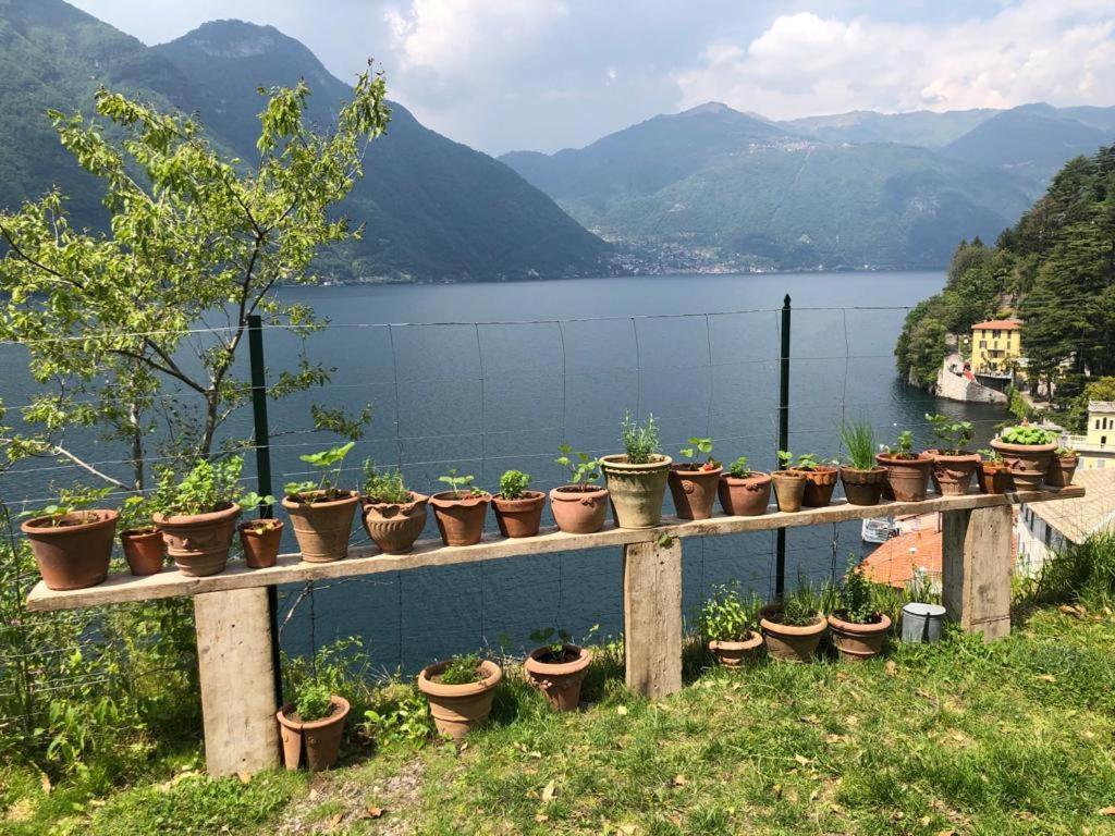 Gli Orti Della Civera 