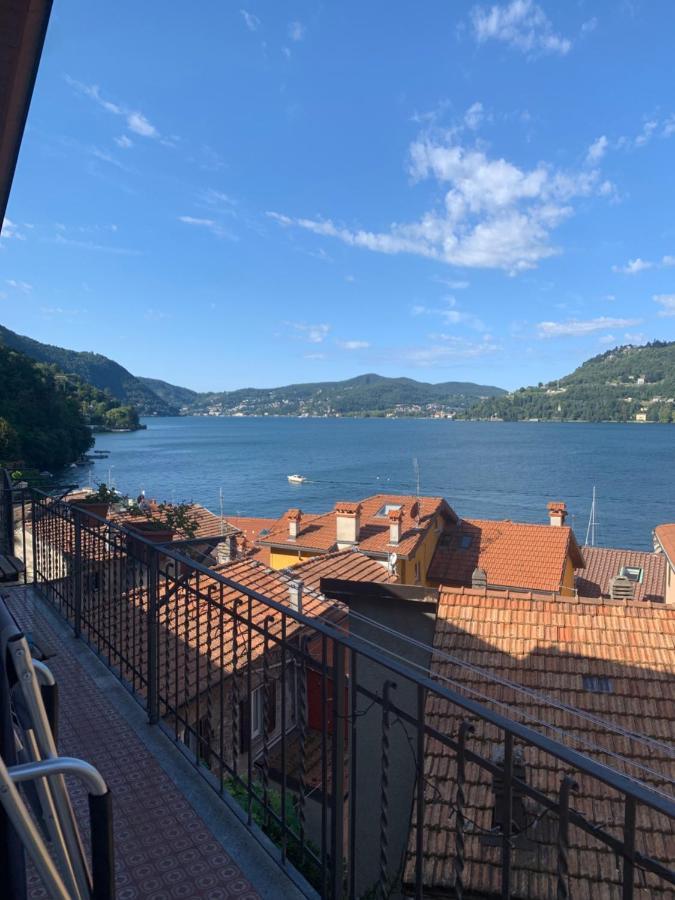 The View