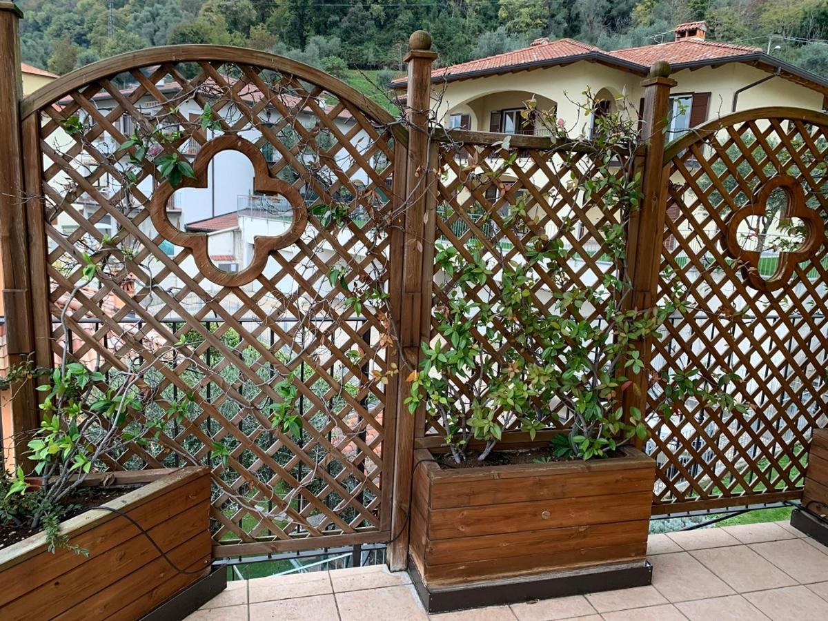 Il Nido Di Giusy Ossuccio