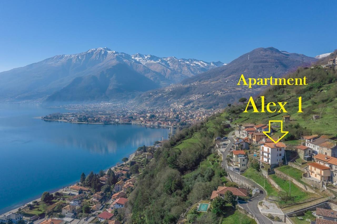 Apartment Alex 1 -