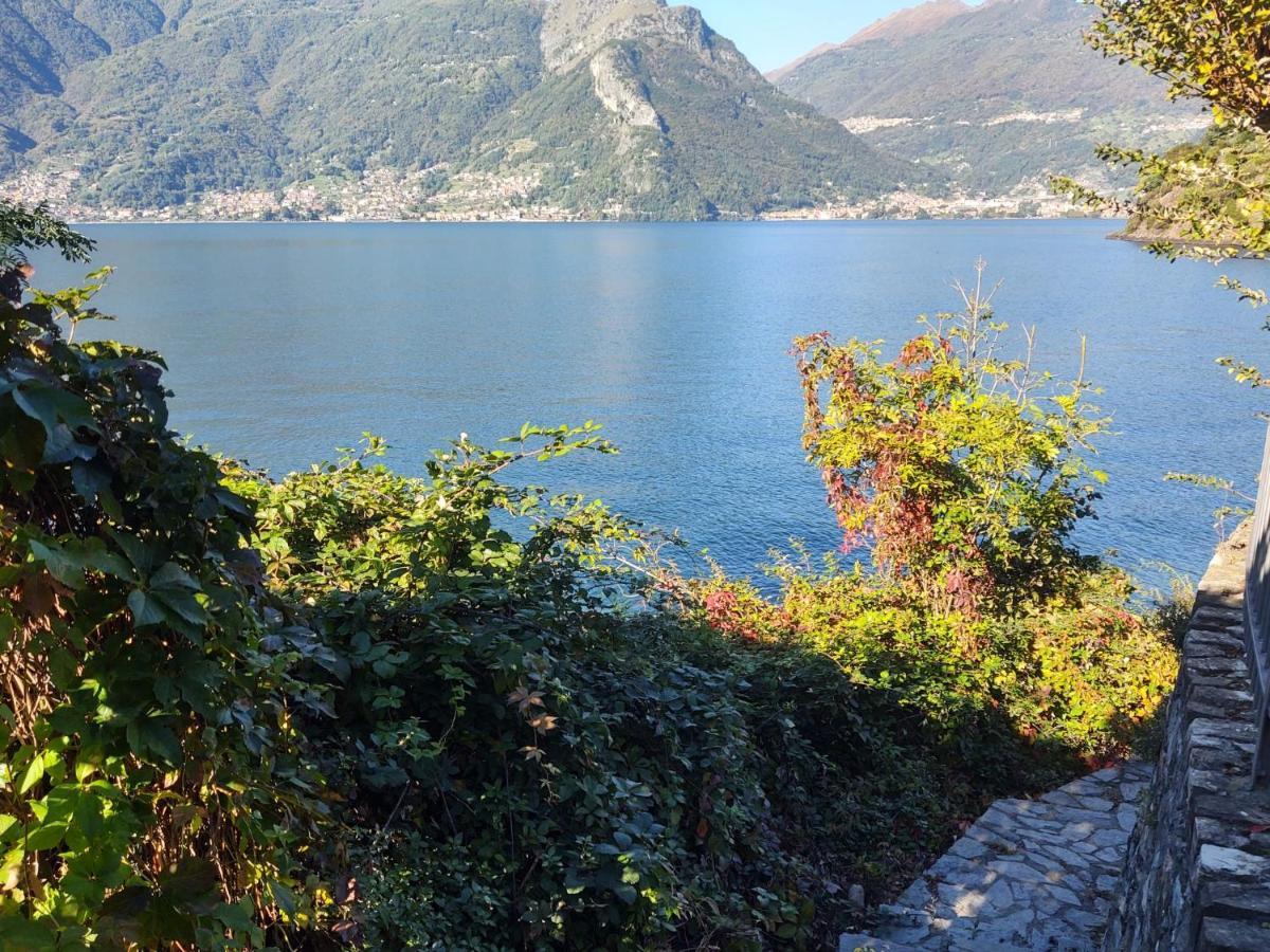 Locazione Turistica Rivetta - Dox261 Appartamento