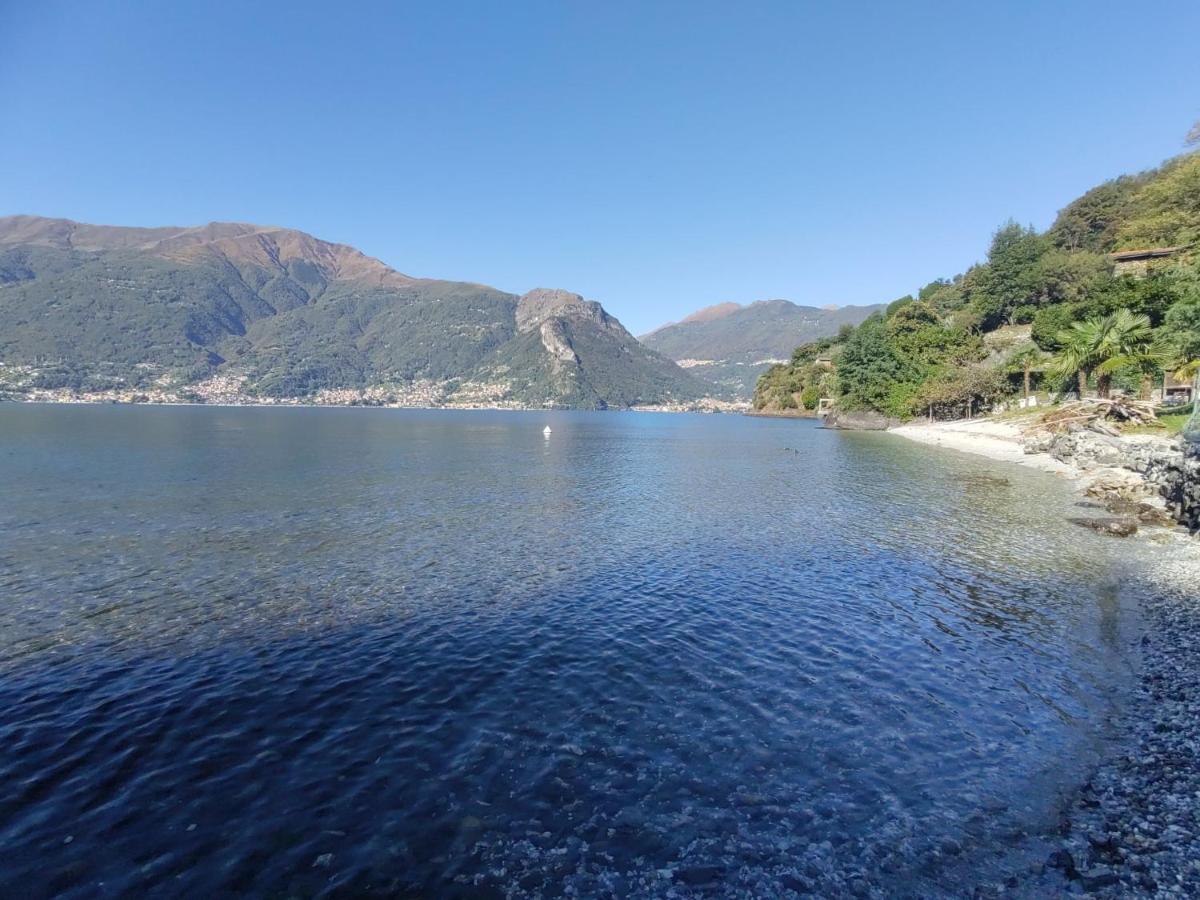 Locazione Turistica Rivetta - Dox261