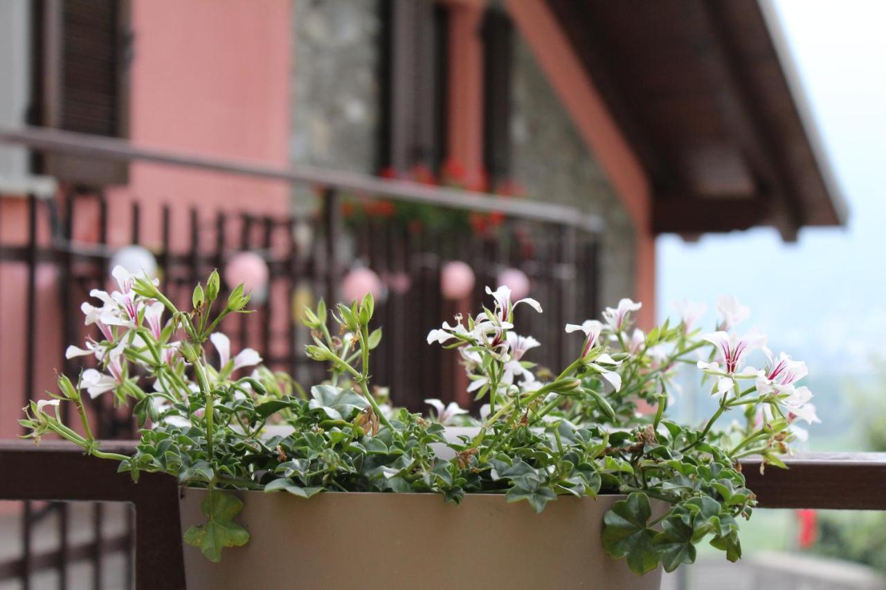 Vista Monastero Apartment *
