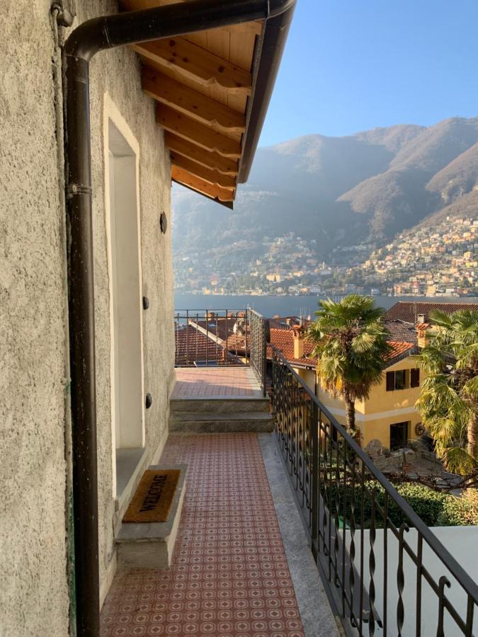 The View *