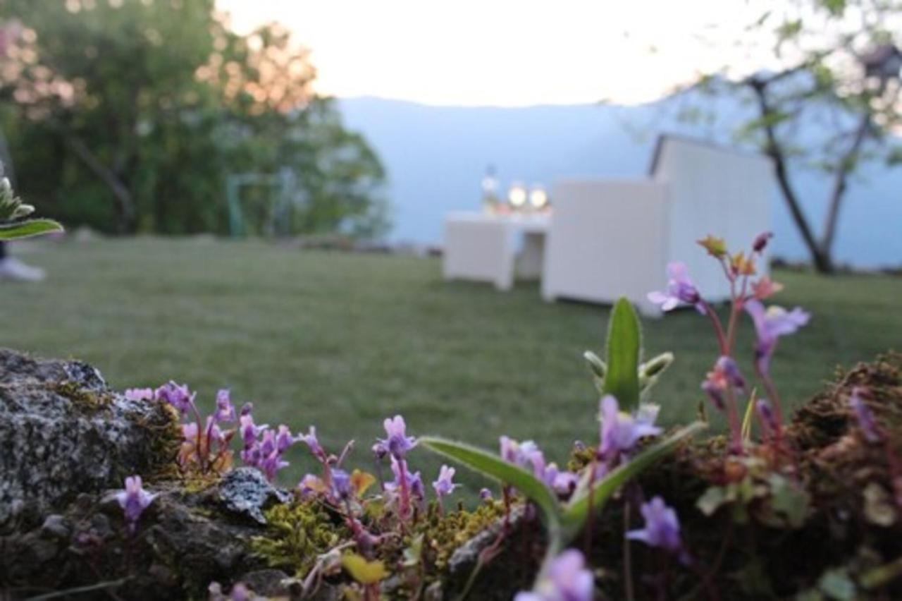 Essentia * Faggeto Lario