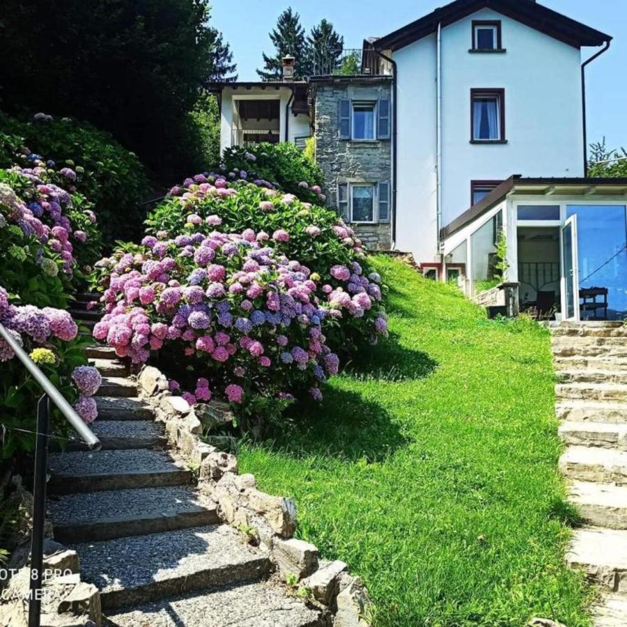 Frühstückspension Essentia Faggeto Lario