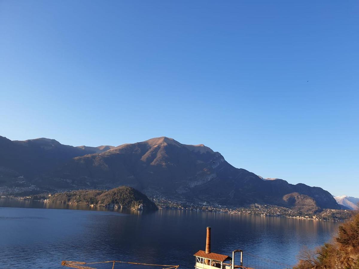 Sole