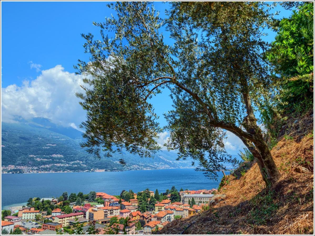 Lake Como Rivalba Bellano