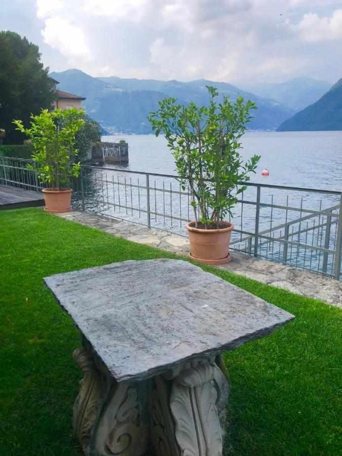 Delle Edere