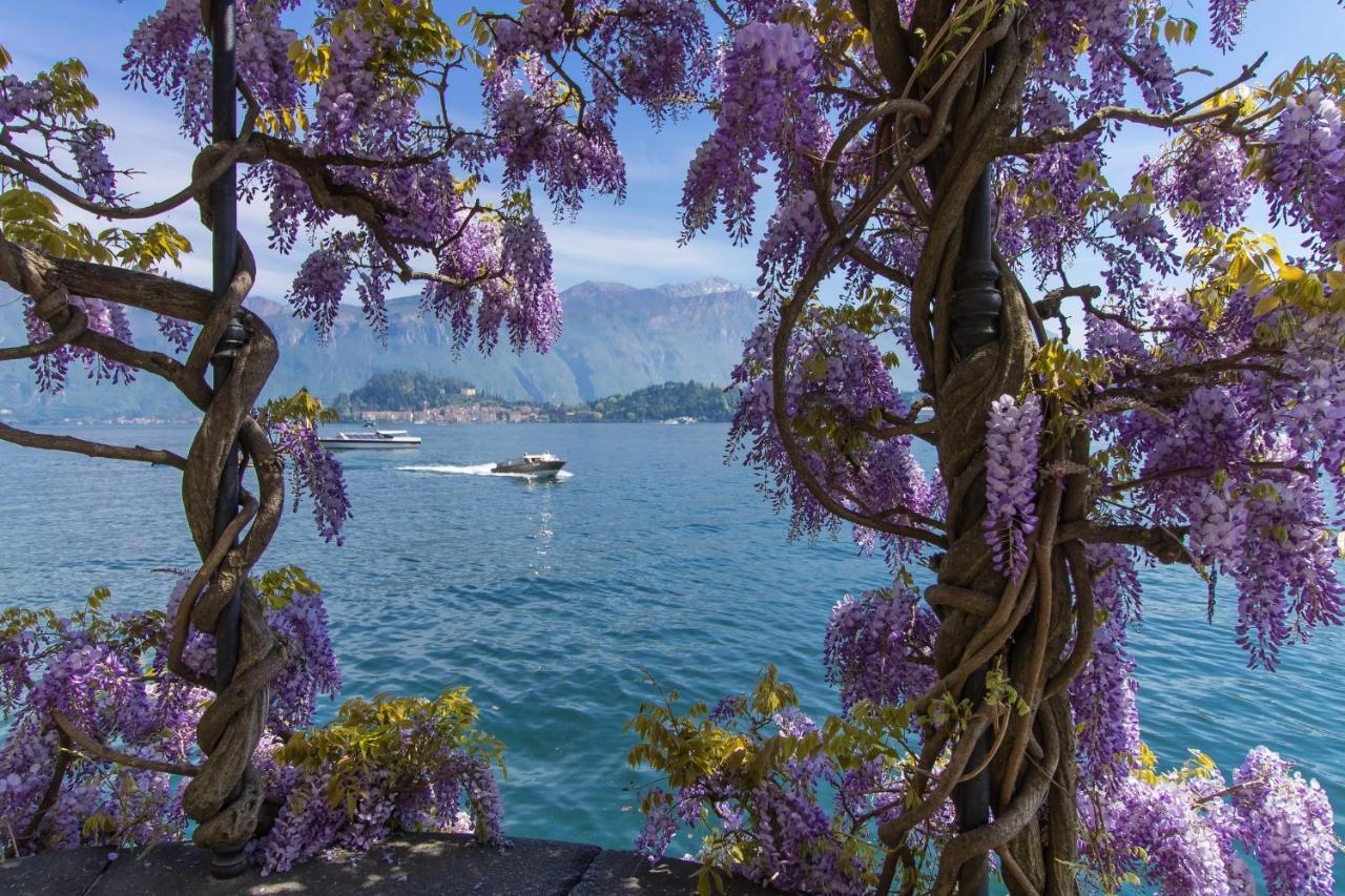 Apartment Bellano Perla