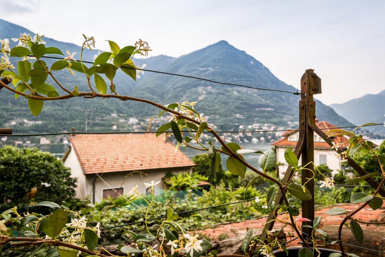 Vecchio Borgo * Torno