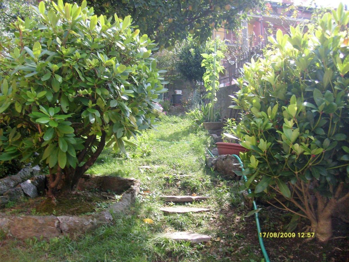 House Yanina Apartment Bellano