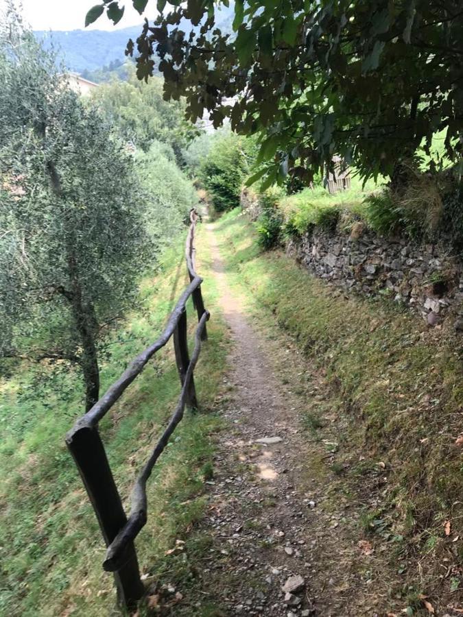 Lake Como Rivalba Bellano