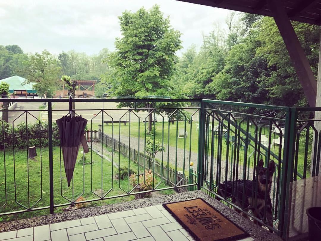 Farm stay La Fornace Centro Ippico *