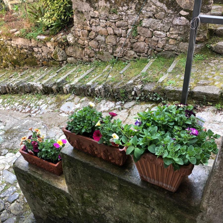 Holiday home Casa Piccolo Fiore