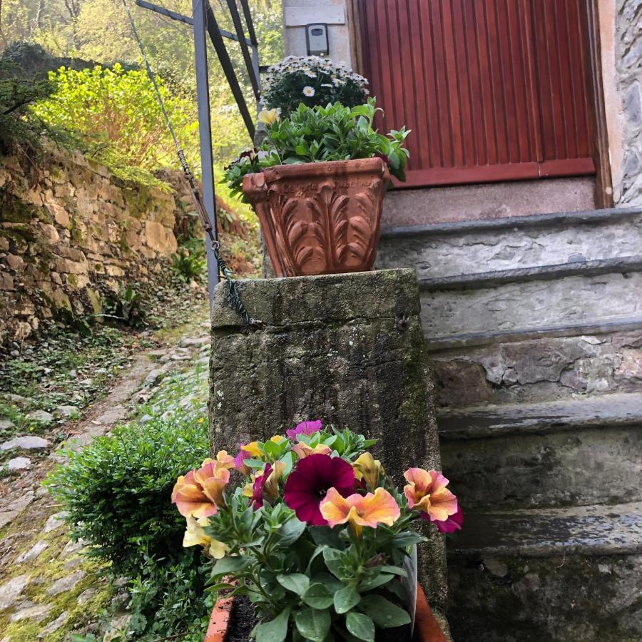 Holiday home Casa Piccolo Fiore Lezzeno