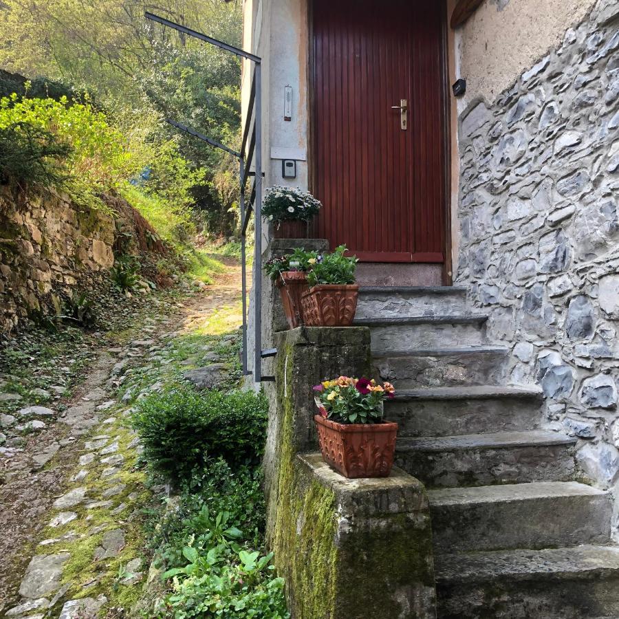 Casa Piccolo Fiore Holiday home Lezzeno