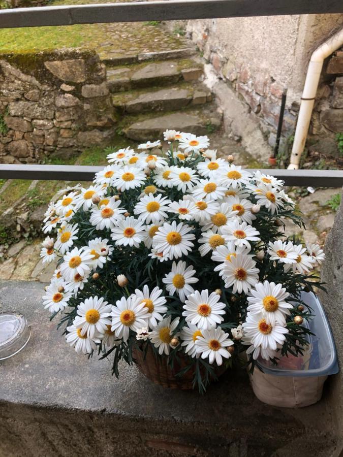 Casa Piccolo Fiore Holiday home