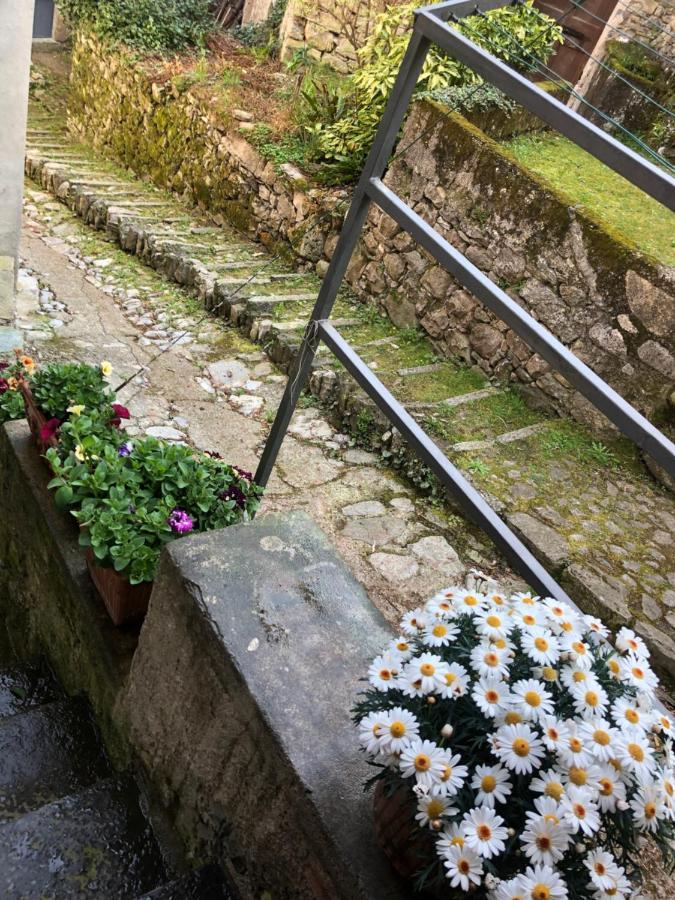 Casa Piccolo Fiore