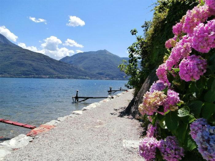 Apartment Riva Di Pianello Balkon-ferienwohnung Am See *