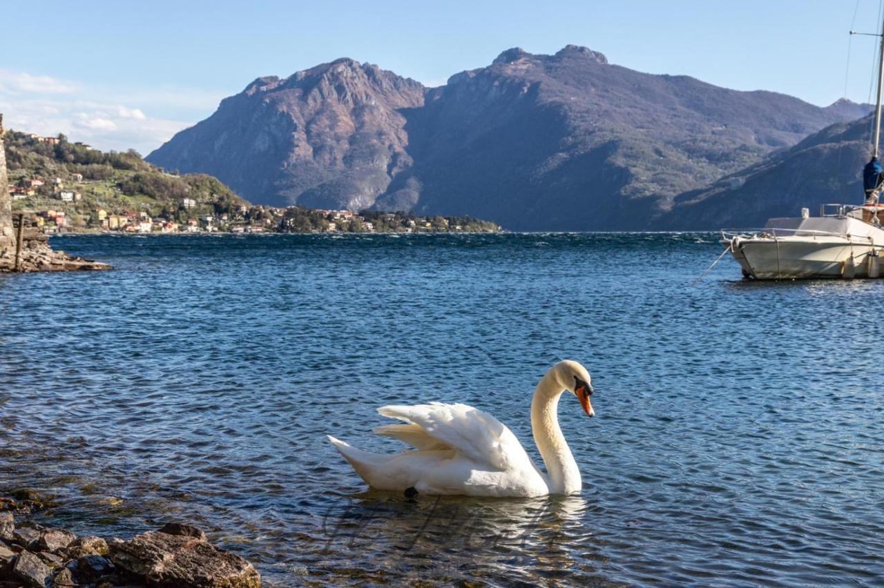Apartment -appartamento Il Molo- A Due Passi Del