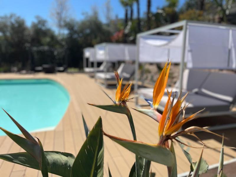 Charming Boutique Bed & Breakfast Bellagio