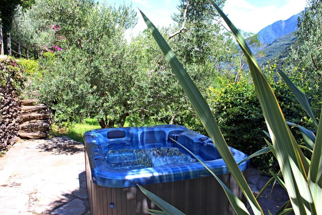 Rustico Ulivi - In Bucht Piona Holiday home