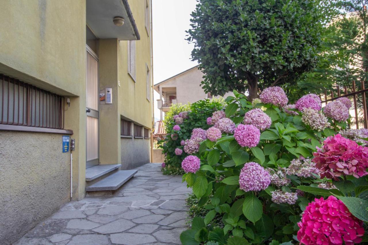 Apartment Mamma Ciccia - Casa Imperia Mandello del Lario