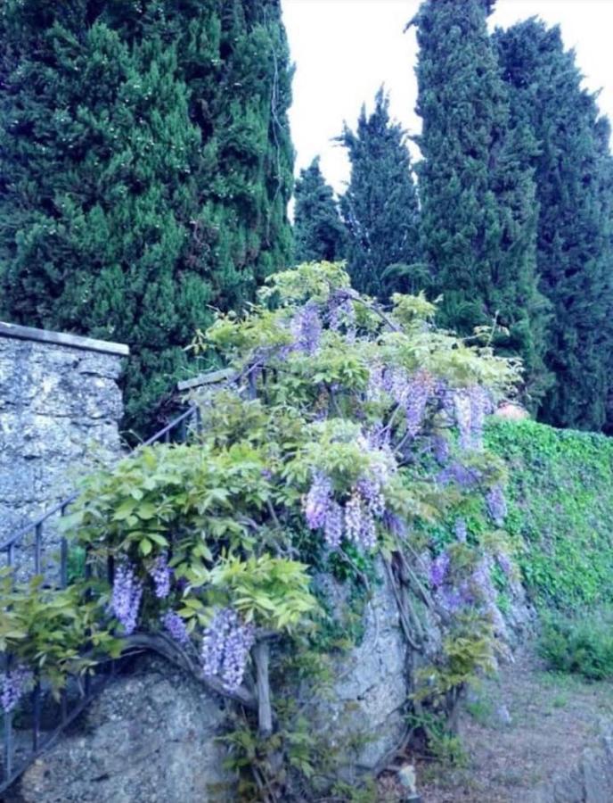 Lusso Con Piscina Tra Milano E