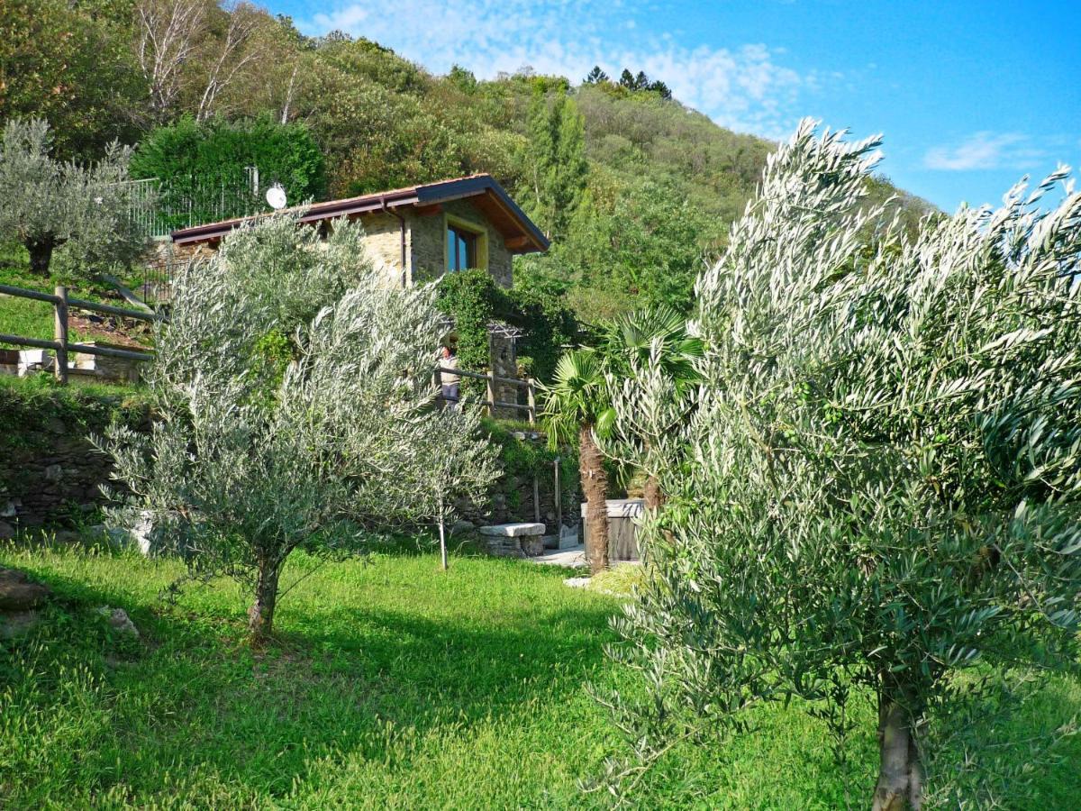 Rustico Ulivi - In Bucht Piona Holiday home *