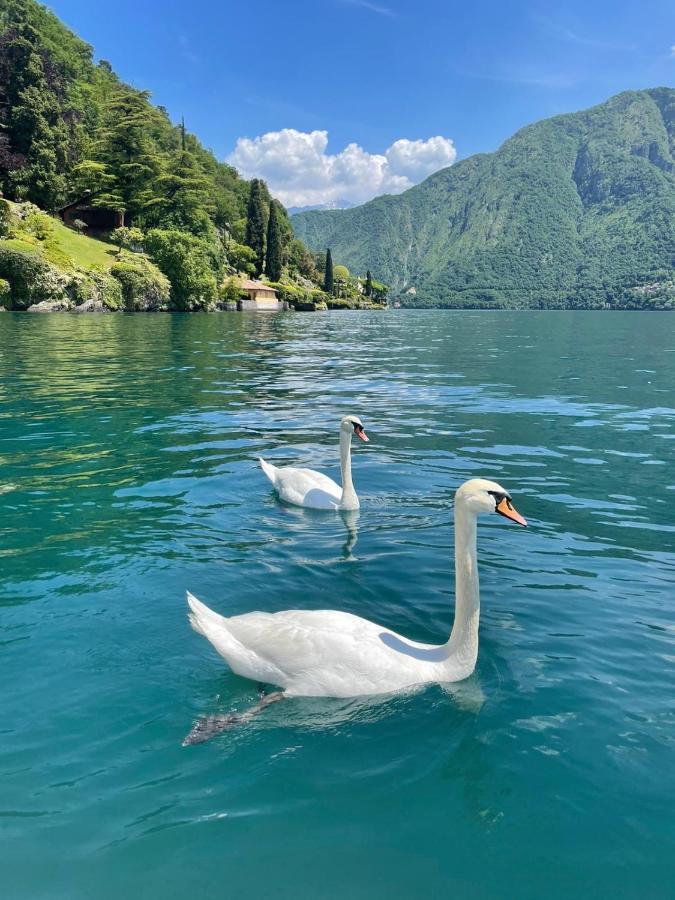 Casacamelia 35, 3 Bdrm With View Lake Como Appartamento