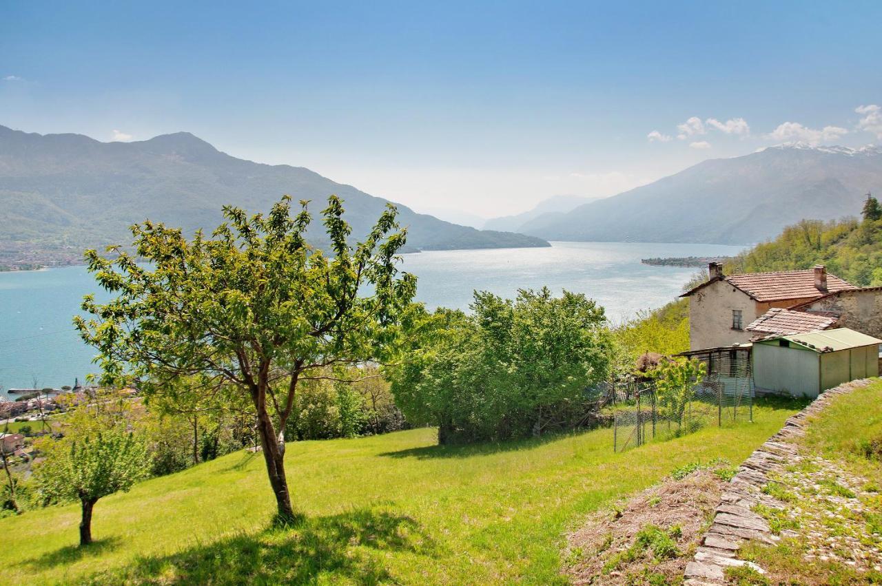 Casa Alan Gera Lario
