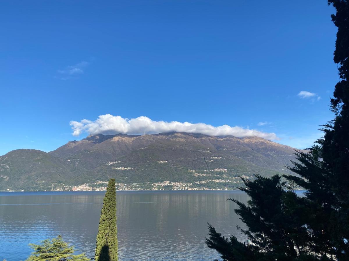 Suitecastlelakeview 2 *