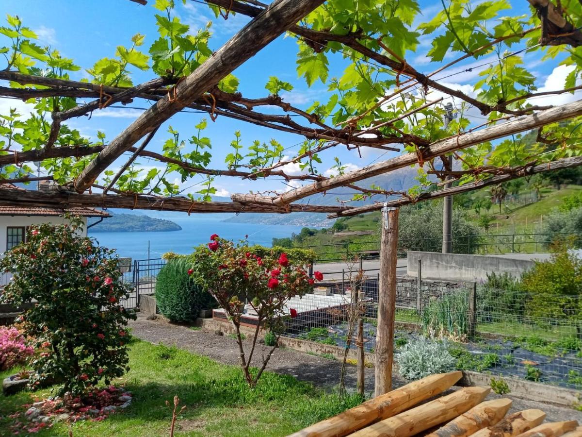 My Holidays - Ca Lia Apartment Vercana