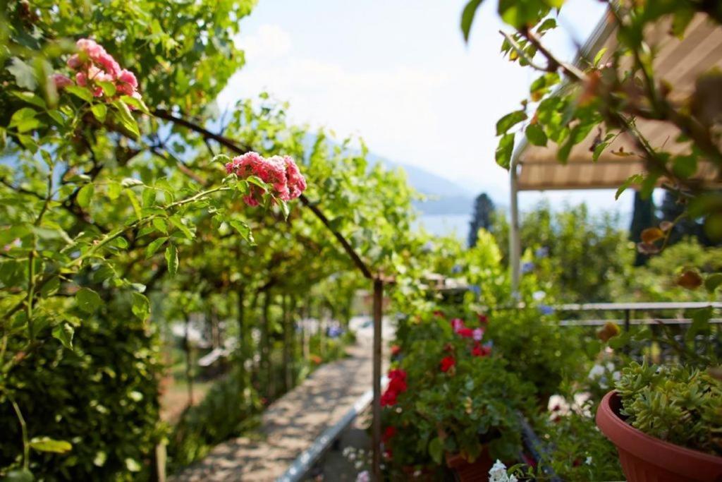 Apartment My Holidays - Giardino E Montagna Gravedona