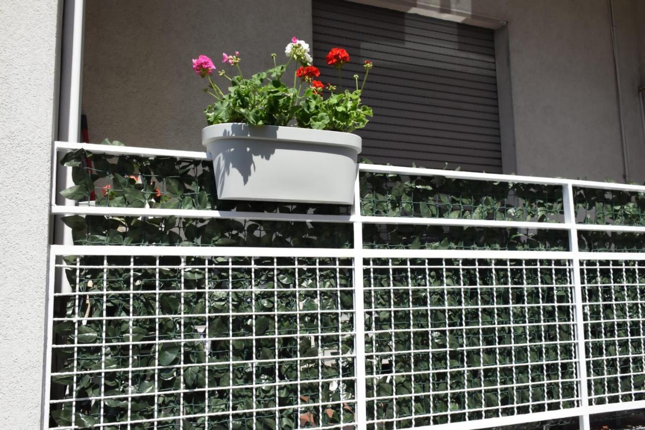 Apartment Casa Vacanze Serena