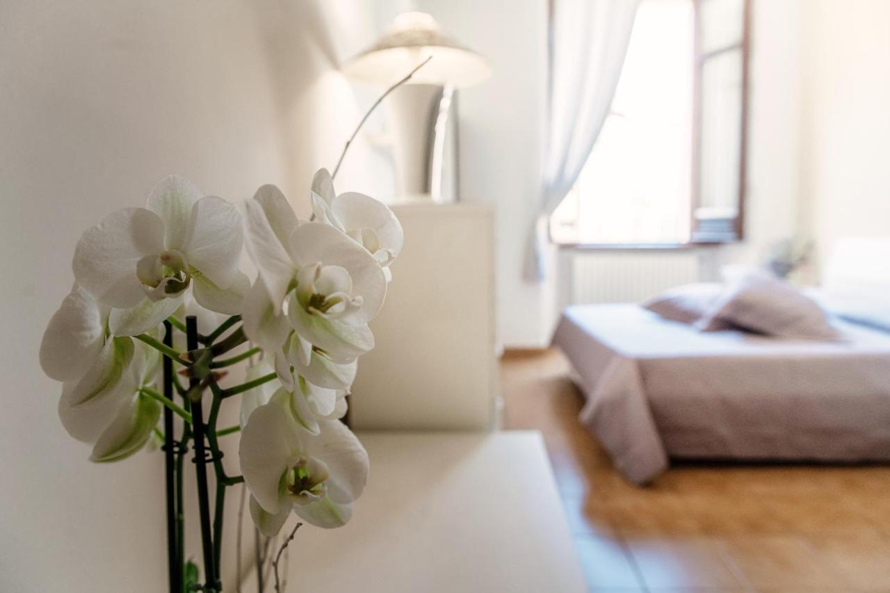 Apartment Mazzini *