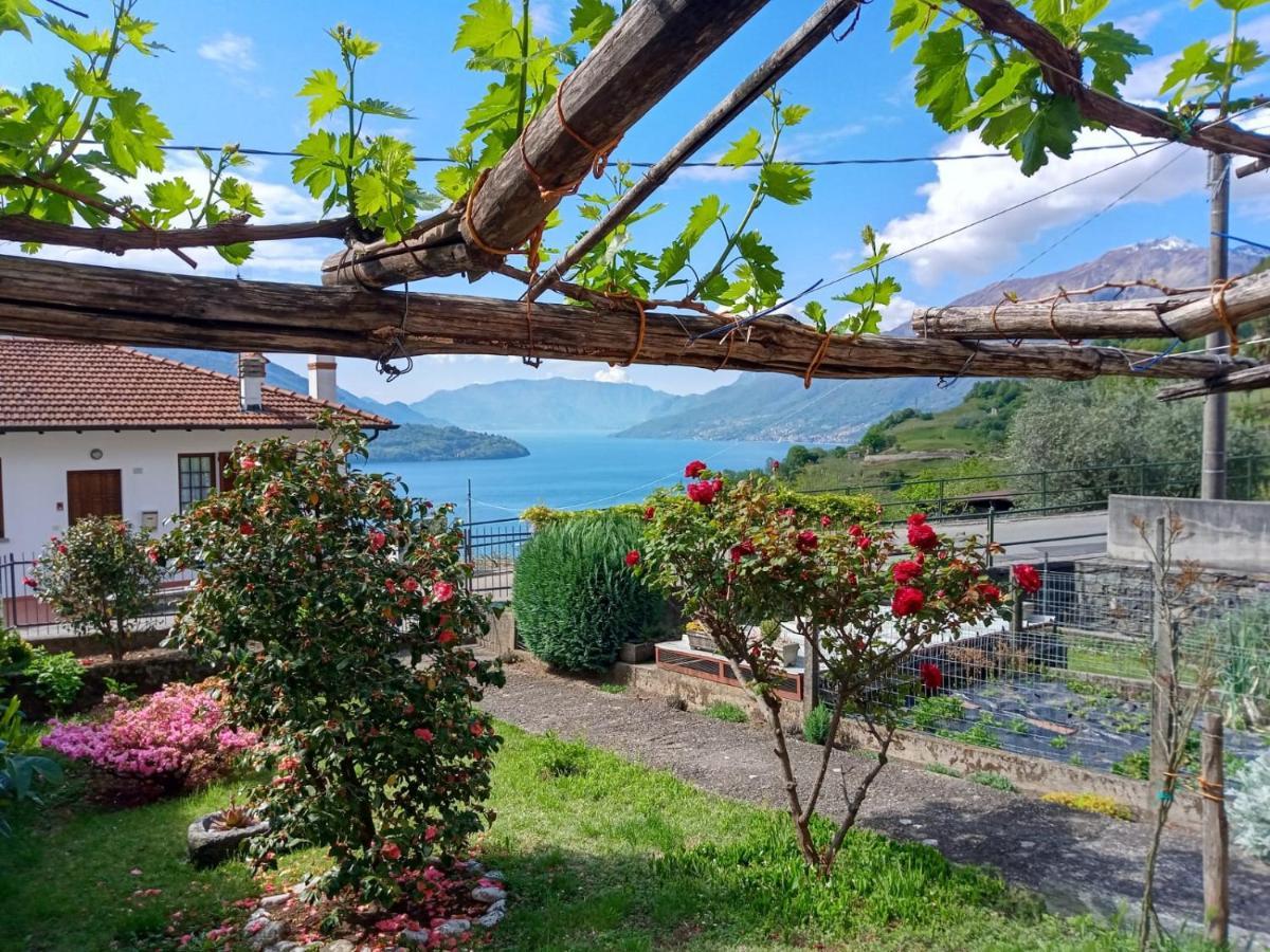 My Holidays - Ca Lia Apartment *