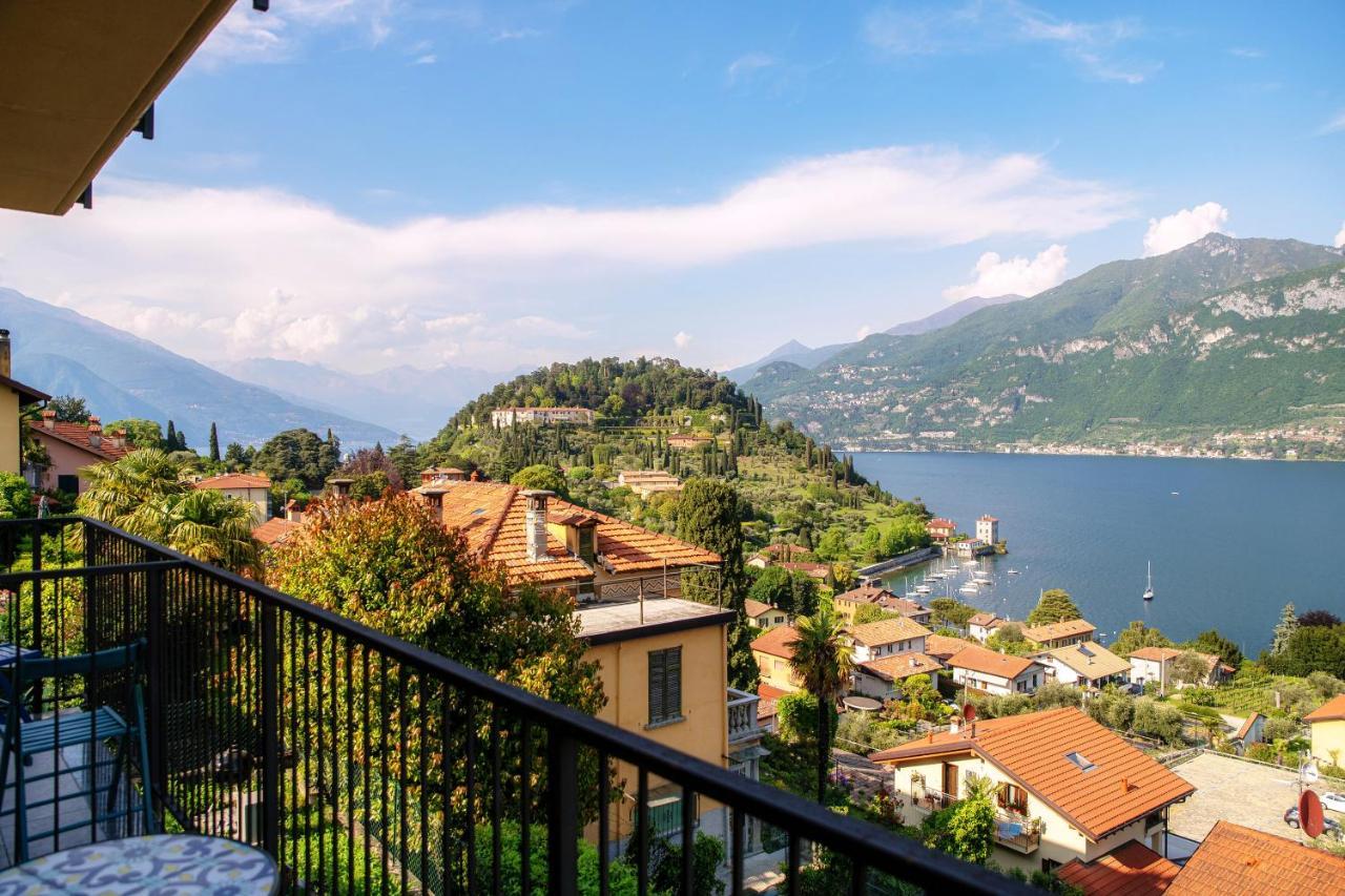 Olive Tree View *