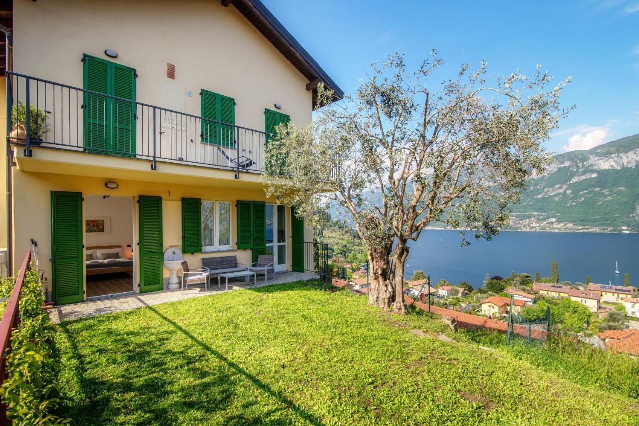 Olive Tree View Bellagio